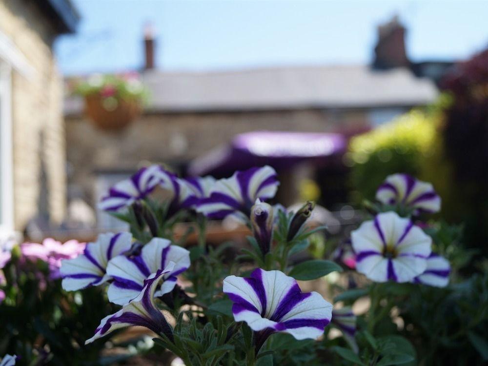 The Plough Bicester Exterior foto